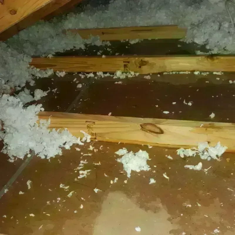 Attic Water Damage in Lehighton, PA